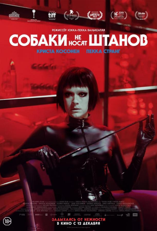Фильм Собаки не носят штанов 2019 смотреть онлайн с Яни Воланеном и Пеккой Странгом